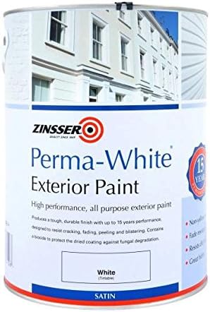 best anti mould paint 1