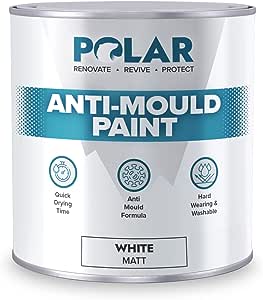 best anti mould paint 3