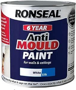 best mould paint 2